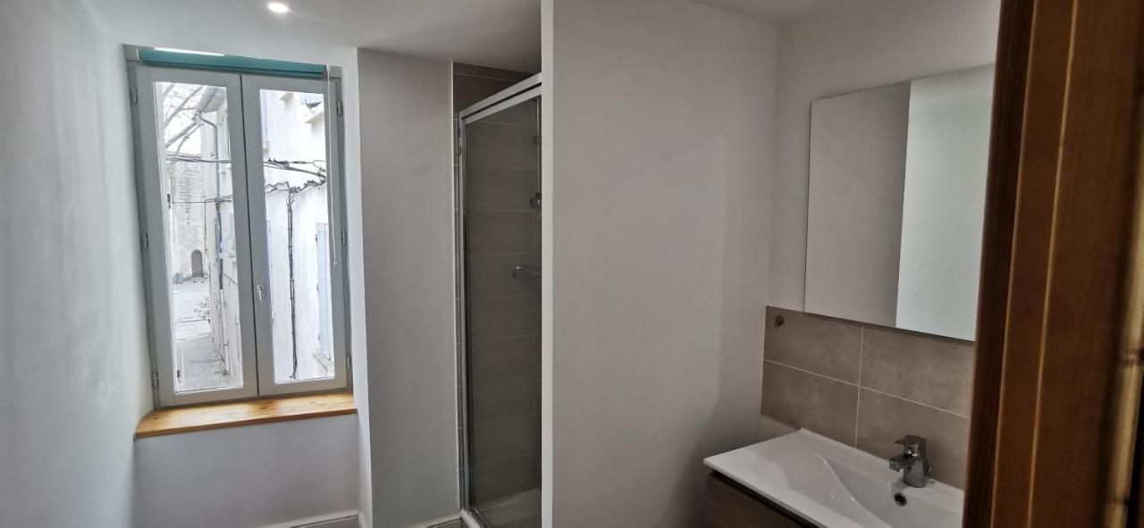 Appartements Et Studio Renoves En 2022, Intra Muros Avignon Eksteriør billede
