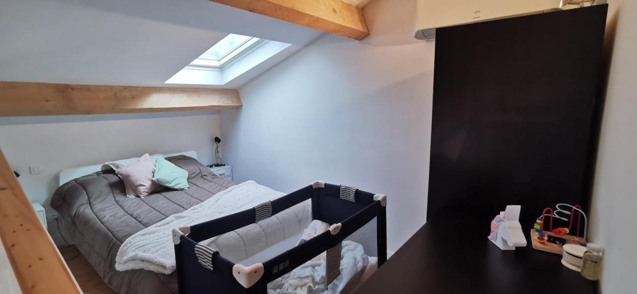 Appartements Et Studio Renoves En 2022, Intra Muros Avignon Eksteriør billede